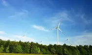 Sederet Fakta Unik Soal Energi Terbarukan, Ternyata Ini Alasan Sumbernya Melimpah di Sekitar Kita