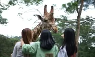 Taman Safari Indonesia Membuka Lowongan Posisi Brand Activasion dan Public Relations untuk Ditempatkan di Batang Jawa tengah