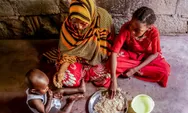 Badan Khusus PBB 'FAO' Membuka Lowongan Kerja National Project Assistant, Kontrak 12 Bulan