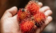 Siapa Sangka, Ternyata Buah Rambutan Tidak Boleh di Konsumsi Oleh Orang Ini