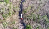 Ketika Pohon Jati Menggugurkan Daun-daun: Kehilangan Bukan Akhir Segalanya