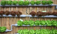 Cara Memulai Homesteading di Kota, Gaya Hidup Mandiri yang Makin Digemari