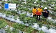 Program Garitan Kalongliud, Strategis ANTAM Memperkuat Kesejahteran Sosial dan Ekonomi di Pongkor