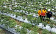 Ketika Mantan PETI Bersama-sama Membangun Pongkor