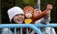 Lisa BLACKPINK Diam-Diam Jenguk Punch di Kebun Binatang Jepang, Kisahnya Bikin Netizen Terharu