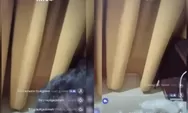 Link Video Asusila Oknum Kepala Desa di Balangan Viral di Twitter (X), Instagram, dan TikTok, Fakta-Fakta yang Perlu Anda Ketahui