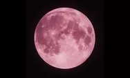 Fenomena Pink Moon 2026 Muncul! Ini Waktu Terbaik Menyaksikan Bulan Purnama yang Viral