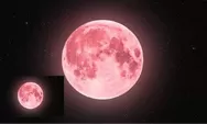 Fenomena Pink Moon 2 April 2026: Cara Menonton, Bahaya, dan Dampaknya bagi Kehidupan