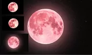Lokasi Nonton Pink Moon di Indonesia, Siapakan Kamera DSLR dan Smartphone Terbaikmu