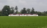 Naik KA Batara Kresna Membelah Solo-Wonogiri, Jalur Kereta dengan Pemandangan Ikonik