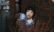 Drakor Absolute Value of Romance Episode 1-14 Sub Indo, Jadwal Tayang dan Link Nonton  