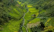 Hidden Gem Desa Salam Wonogiri, Ketika Matahari Baru Terlihat Pukul 08.00