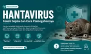 Mengenal Apa Itu Hantavirus dan Cara Penularannya Virus Mematikan dari Tikus Gegerkan Kapal Pesiar, Sudah Masuk Indonesia?