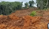 PT TIS Kubar Kaltim Milik Siapa? Profil Perusahaan Tambang Batu Bara Kutai Barat, Kalimantan Timur dan Pemiliknya