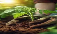Tren Plant-Based di Indonesia: Antara Gaya Hidup Tulus dan Flexing Doang