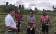 KA SPPG Langga Lero Tinjau Kebun Semangka di Weekombaka, Dorong Petani Tangkap Peluang Pasar MBG