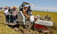Target Pangan Nasional Terpenuhi, Jateng Siap Jadi Andalan