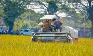 Insentif PBB hingga Sanksi Pidana, Cara Jateng Amankan Lumbung Pangannya