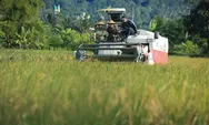 Produksi Naik 14 Persen, Panen Raya Jateng Ditargetkan Tembus 3,35 Juta Ton