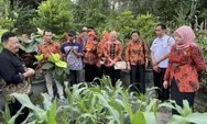 Ning Nawal Kampanyekan Tanam Sayur di Rumah, Hasilnya Bisa Dipanen