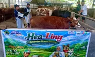 Jelang Iduladha, Jateng Pastikan Hewan Kurban Aman dan Sehat