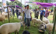 Kontes Ternak dan Jambore Inseminator 2026 Meriah, Ketahanan Pangan Kian Menguat