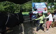 Warga Tinanding Grobogan Terharu Terima Sapi Kurban Presiden Pascabanjir Sungai Tuntang