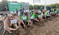 Industri Air Kemasan Bersinergi Lestarikan Pesisir melalui Gerakan Penanaman Mangrove di Jateng