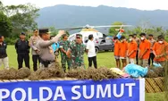 Kapoldasu dan Pangdam I/BB Pimpin Operasi Perburuan Ladang Ganja Terluas di Pulau Sumatera