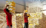 Dana Jumbo Rp22,7 Triliun Mengalir ke Bulog, Misi RI untuk Serap 3 Juta Ton Beras Petani di 2026
