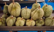 Memperkenalkan Bukit Durian Sagara Agro Wisata, Merangkul Keindahan Alam dan Pertanian