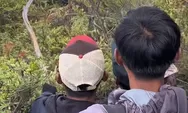 Pendaki Gunung Ijen Sempat Hilang, Remaja 16 Tahun Ditemukan Selamat di Tebing Kawah