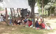 Taman Kosambi Cengkareng Rumputnya Mengering Karena Terinjak-injak dan Diduduki Pengunjung, Warga: Petugasnya Ngga Tegas dan Dibiarkan!