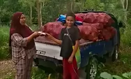 Emas Hijau Oro Gading! Harga Porang Tembus Rp11.700 per Kilo, Kesejahteraan Petani Meningkat