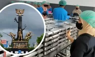 Usai Viral Kepala SPPG Blora Pamit Salat Lalu Mendadak Resign: Dapur MBG Ikut Berhenti, Belum Ada Pengganti