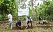 Bertahan dan Berkembang: BRI dan Grow & Green Mendukung Petani di Lahan Sulit