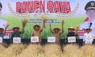 Sawah Tetap Hijau di Tengah Betonisasi, Bupati Bogor Tegaskan: Petani Harus Jadi Prioritas!