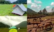 Ingin camping cantik bersama pasangan anda? Ranca Upas bisa menjadi opsi anda liburan long weekend