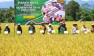Panen Raya Serentak, Rudy Susmanto Gaspol Dukung Ketahanan Pangan di Kabupaten Bogor