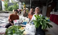 Punya 142 Pelanggan! Seni Tani, Bangunkan Lahan Tidur Arcamanik Jadi Urban Farming
