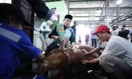 Sembelih Hewan Kurban Presiden dan Wali Kota Bandung, Erwin: Baru Kali Ini Saya Menyembelih Sapi Sebesar Ini 