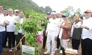 Puncak Hijau Kembali! Menteri Kehutanan dan Gubernur Jabar Pimpin Penanaman 50.000 Pohon di Cisarua