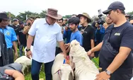 Ketika Domba Menyatukan Negeri: Semangat Pesta Patok Jadi Simbol Harapan Peternak Rakyat