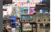 Eksotisme Pasar Burung di Jl. Beringin Janggut, Palembang: Surga Hewan Peliharaan dan Aneka Ragam Barang