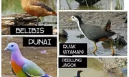 Menikmati Kelezatan Langka: Pindang Burung di Kabupaten Ogan Komering Ilir