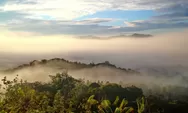 Taman Nasional Gunung Leuser: Destinasi Wisata Alam Terbaik di Aceh dan Sumatra Utara yang Wajib Dikunjungi