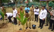 Tanam Bibit Pohon Kelapa Serentak, Wali Kota Ratu Dewa Sukseskan Program Nasional