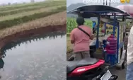 Fenomena sinkhole muncul di persawahan Limapuluh Kota Sumbar, air berubah biru dan warga diminta waspada
