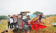 Tak sekadar jaga keamanan, Polri turun ke sawah dukung ketahanan pangan nasional lewat panen raya jagung