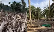 Lebaran terancam tanpa ziarah, area makam Desa Pengidam Aceh Tamiang masih tertimbun kayu pascabanjir
